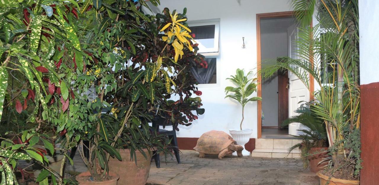 Garden Hut Apartamento Victoria