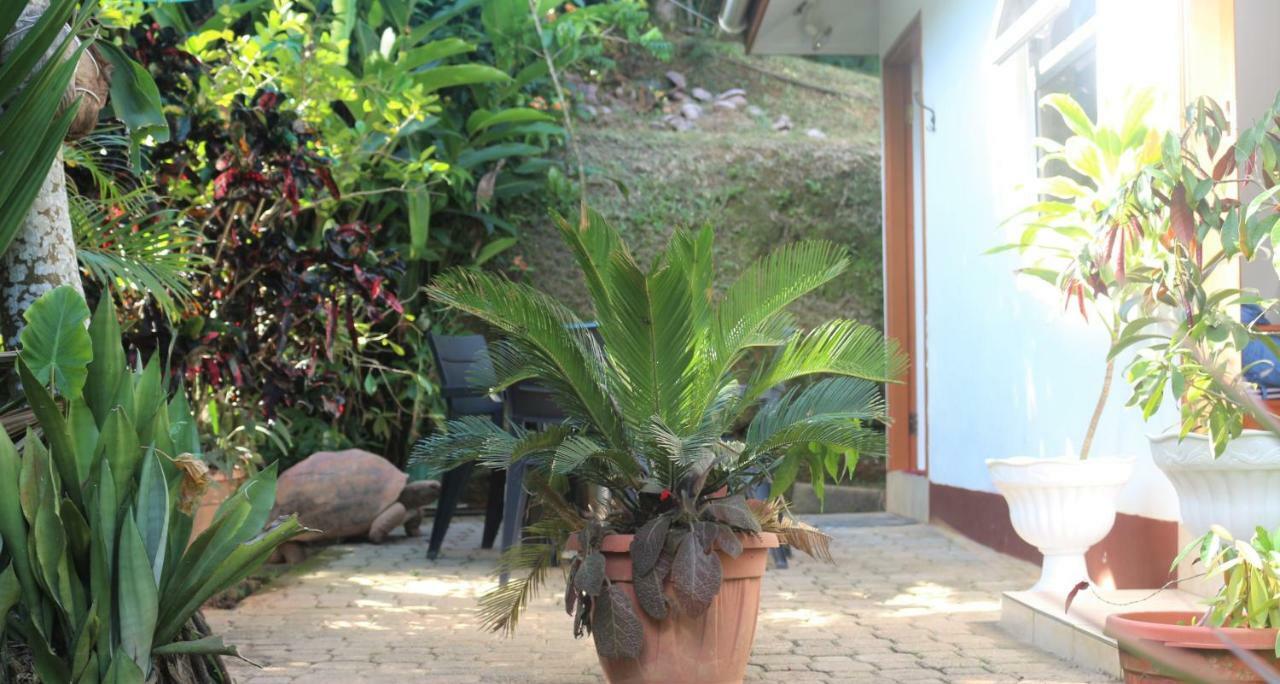 Garden Hut *